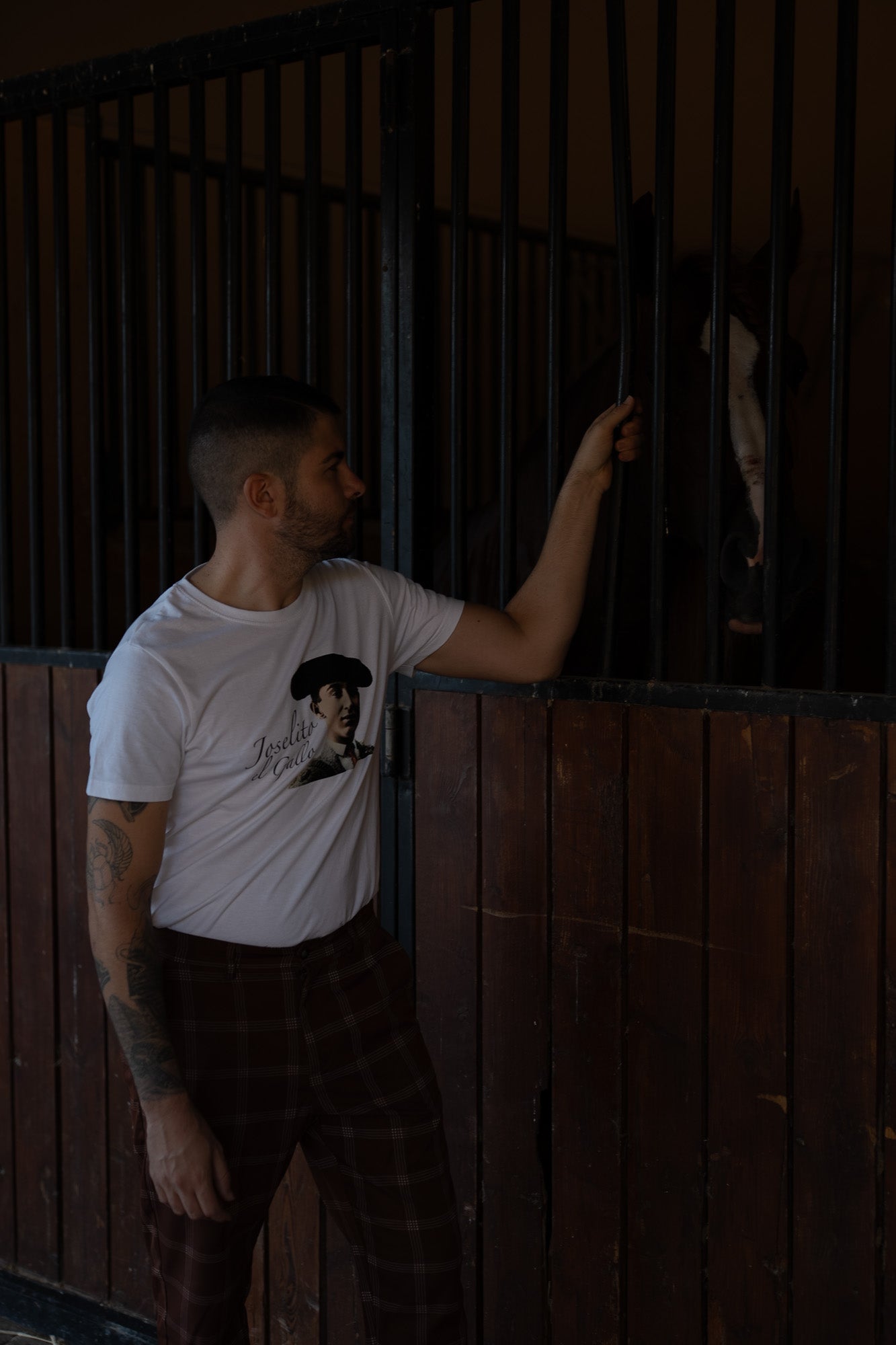 Rey de los Toreros